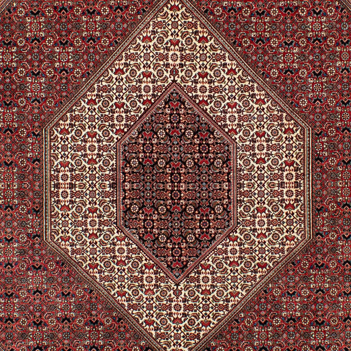 Perserteppich - Bidjar 305 x 203 cm - dunkelrot