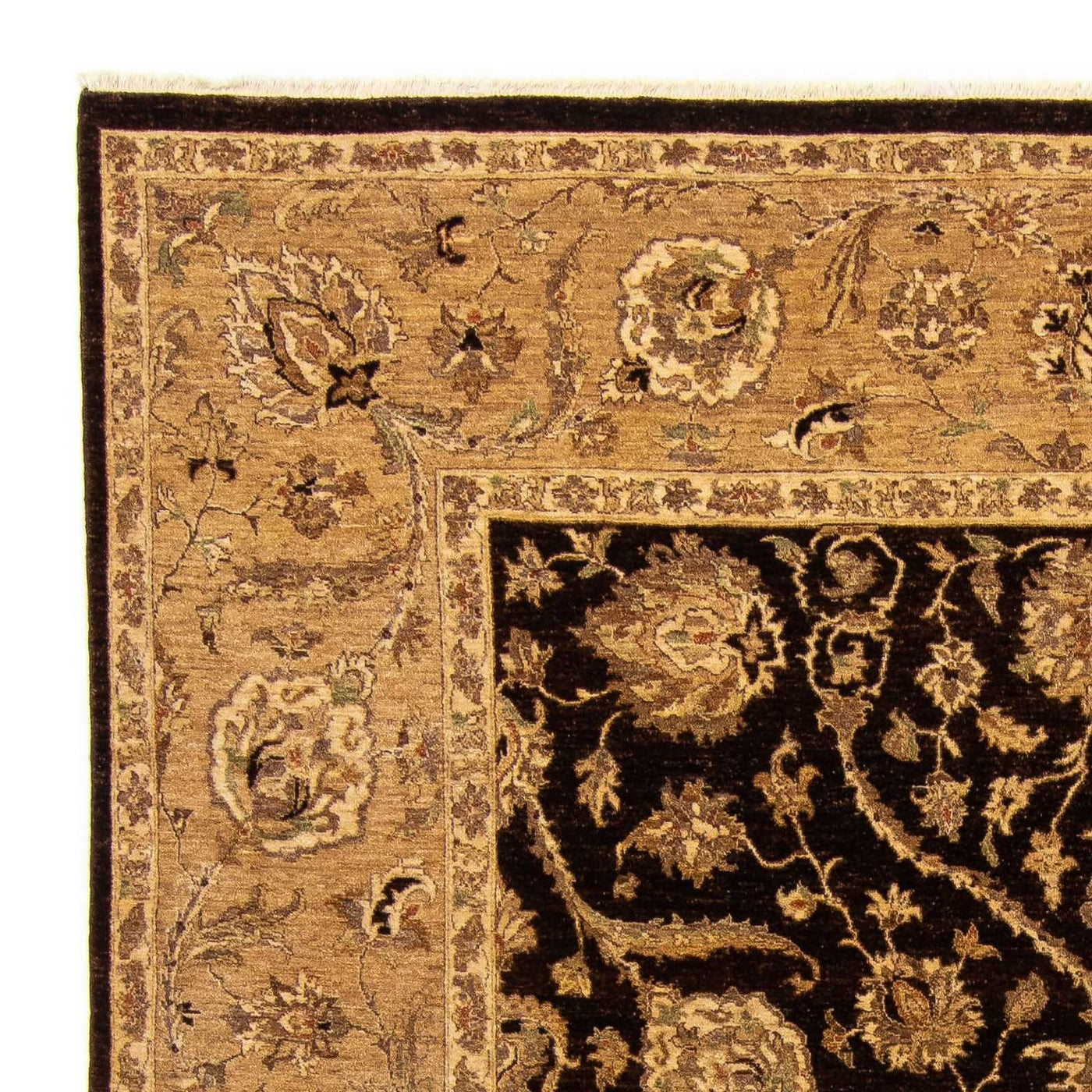 Pakistan Teppich 303x242cm - Orientteppich