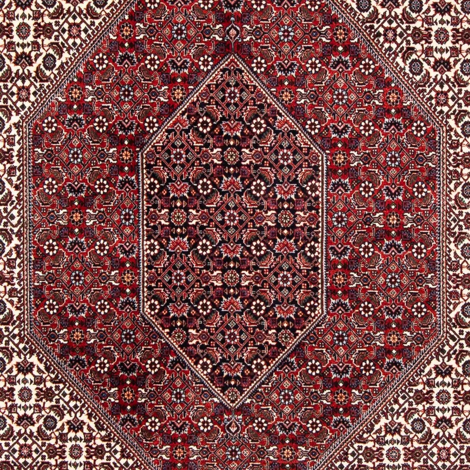 Perserteppich - Bidjar 241 x 170 cm