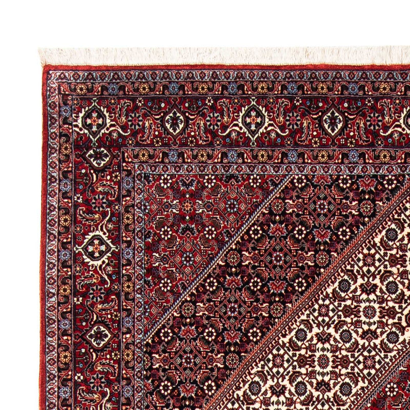 Perserteppich - Bidjar 241 x 170 cm