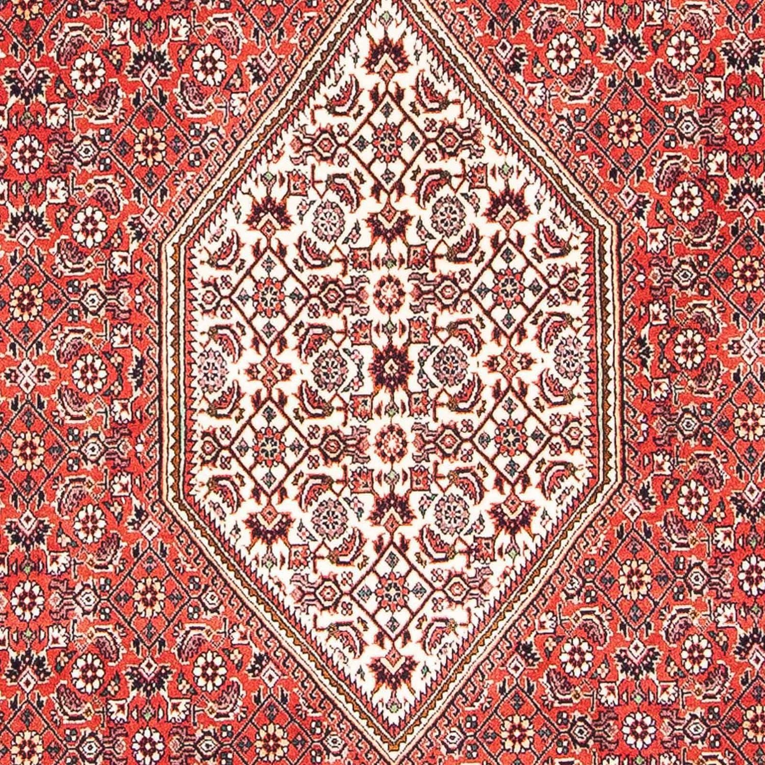 Perserteppich - Bidjar - Royal 181 x 109 cm