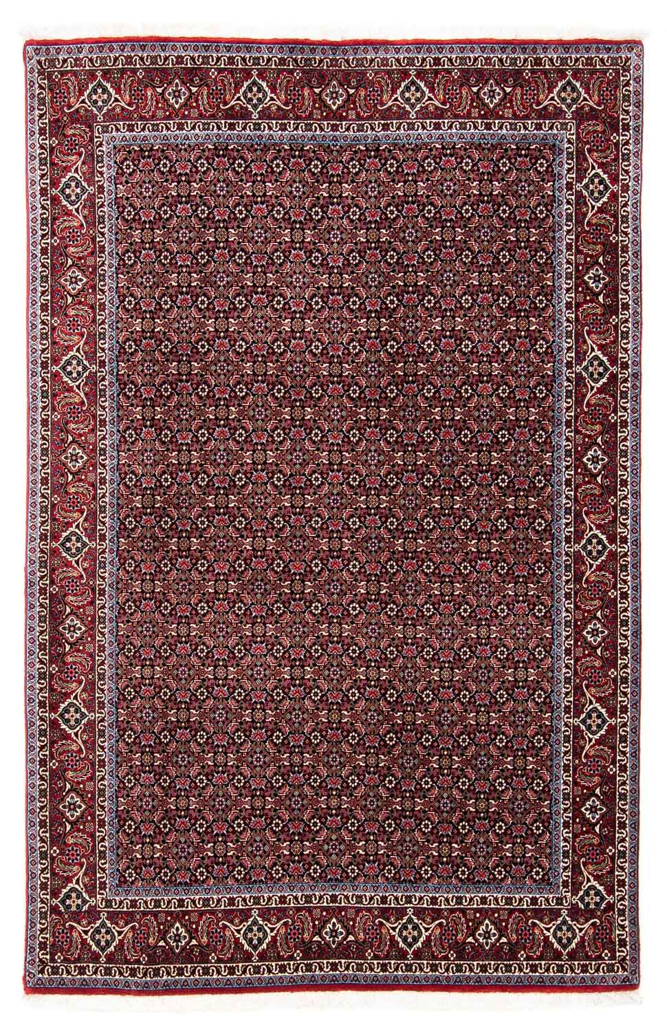 Perserteppich - Bidjar 250 x 168 cm