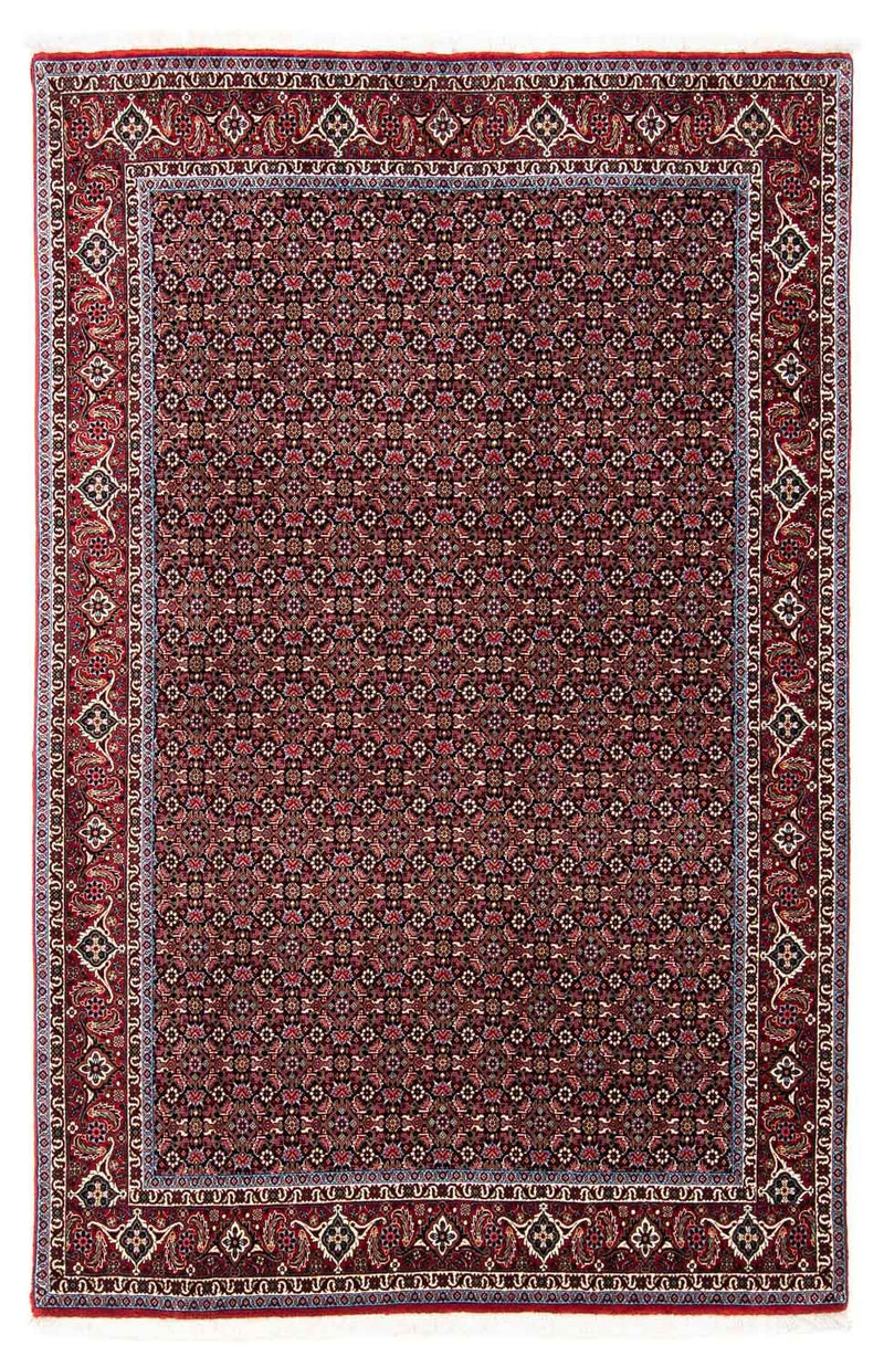 Perserteppich - Bidjar 250 x 168 cm