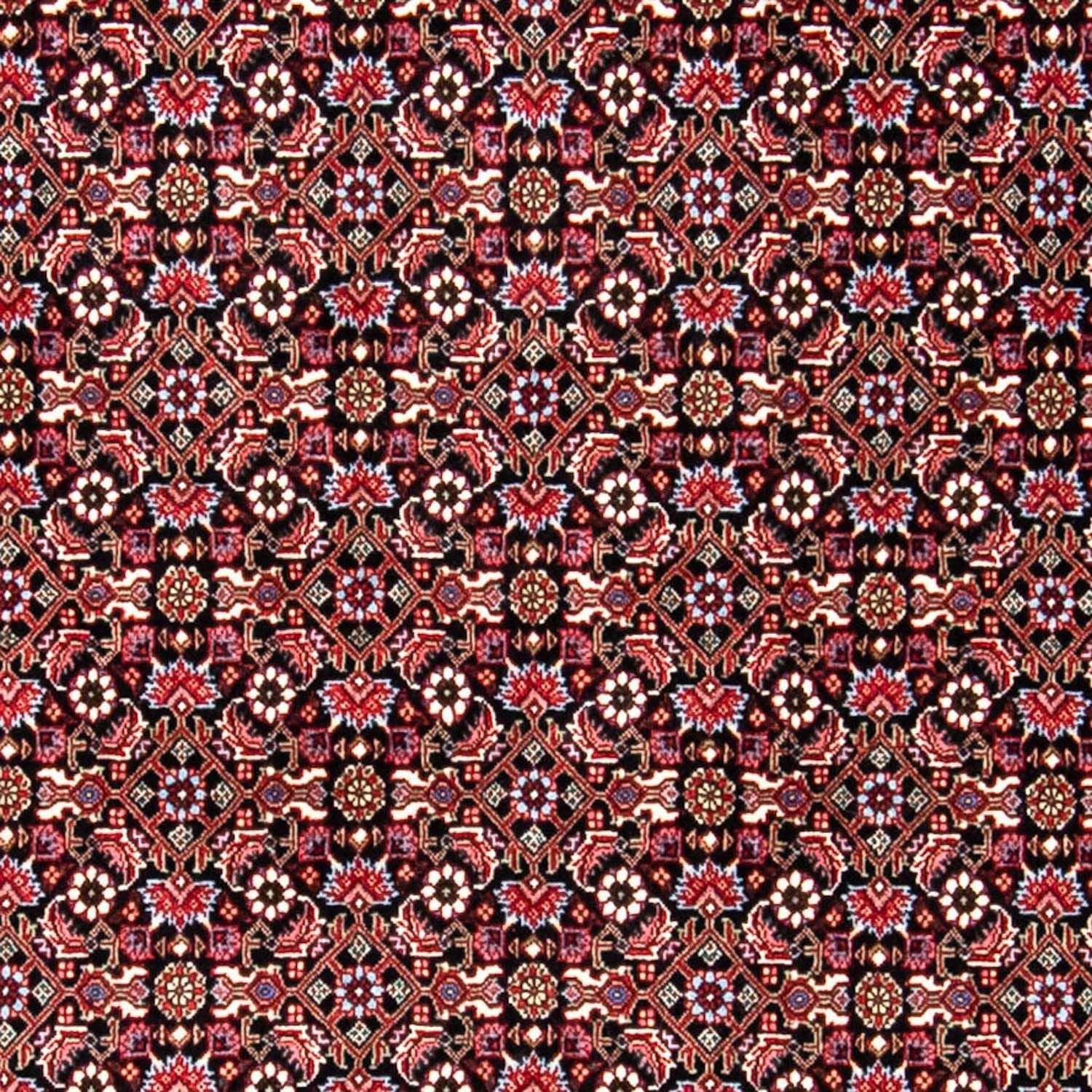 Perserteppich - Bidjar 250 x 168 cm