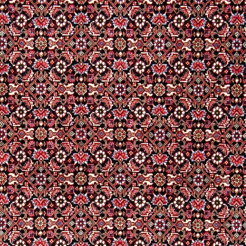 Perserteppich - Bidjar 250 x 168 cm