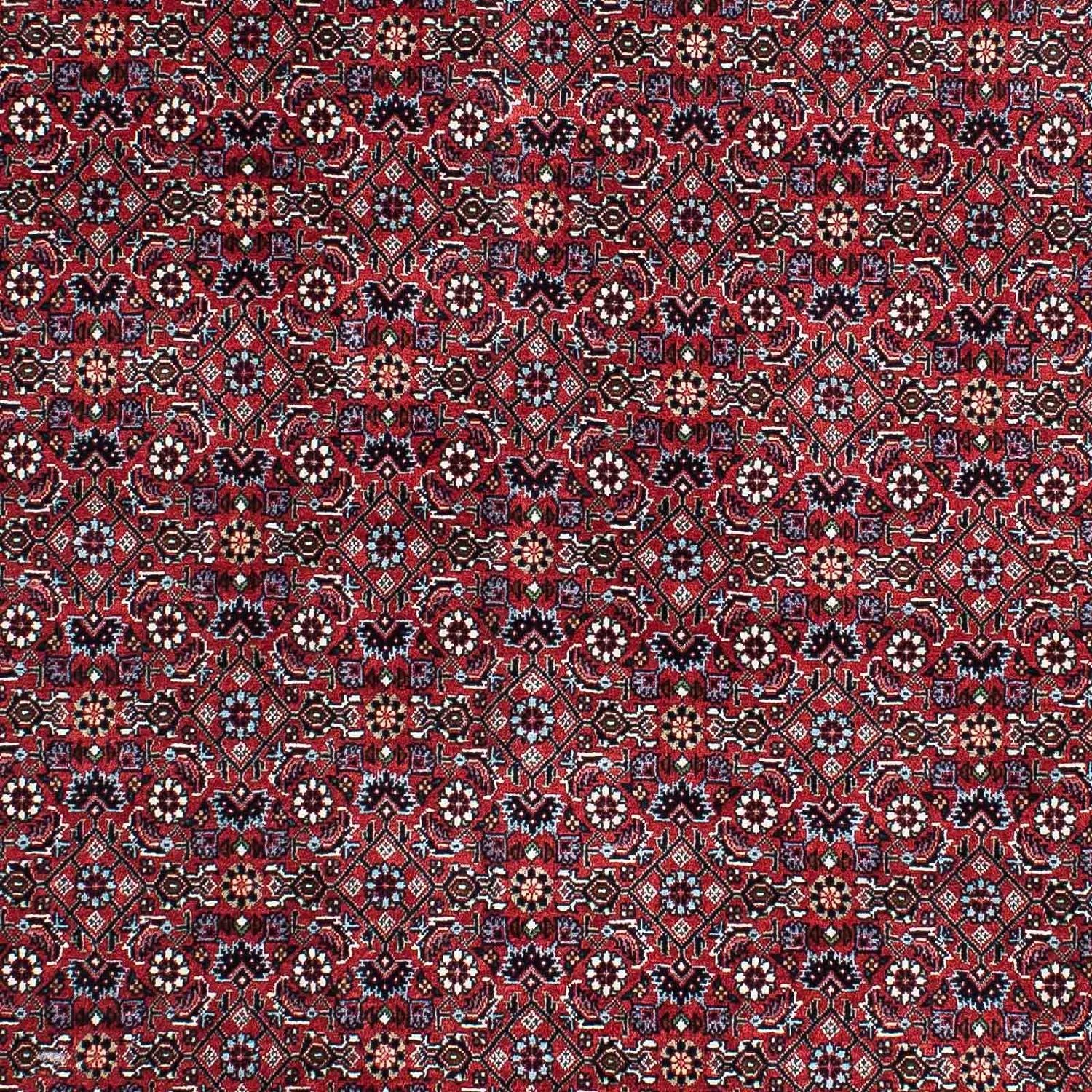 Perserteppich - Bidjar - Royal 202 x 132 cm