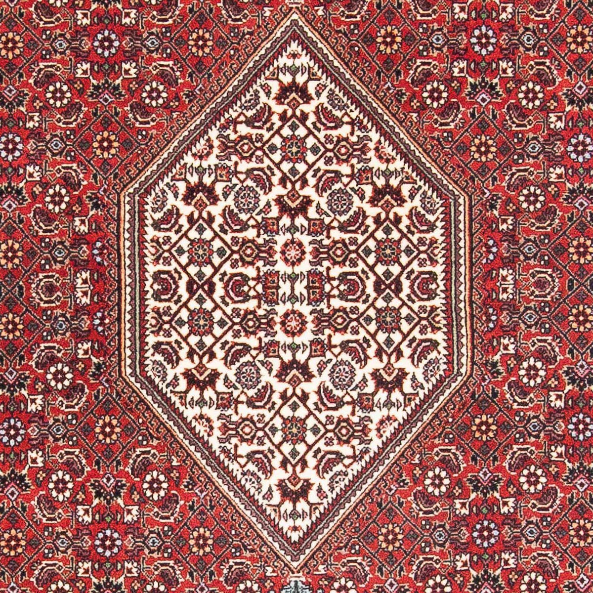 Perserteppich - Bidjar - Royal 174 x 112 cm