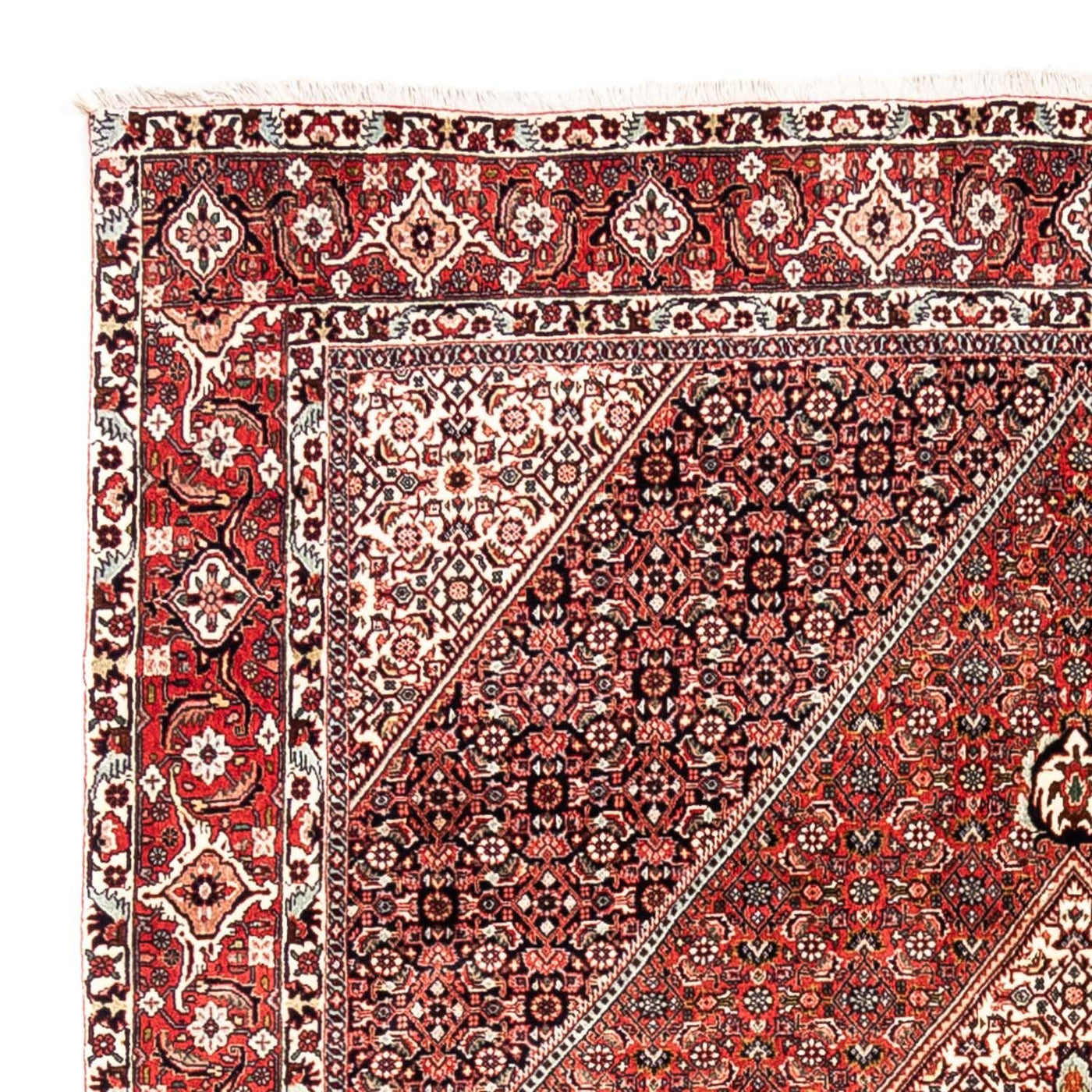 Bidjar - Takab Teppich 285x195cm - Perserteppich