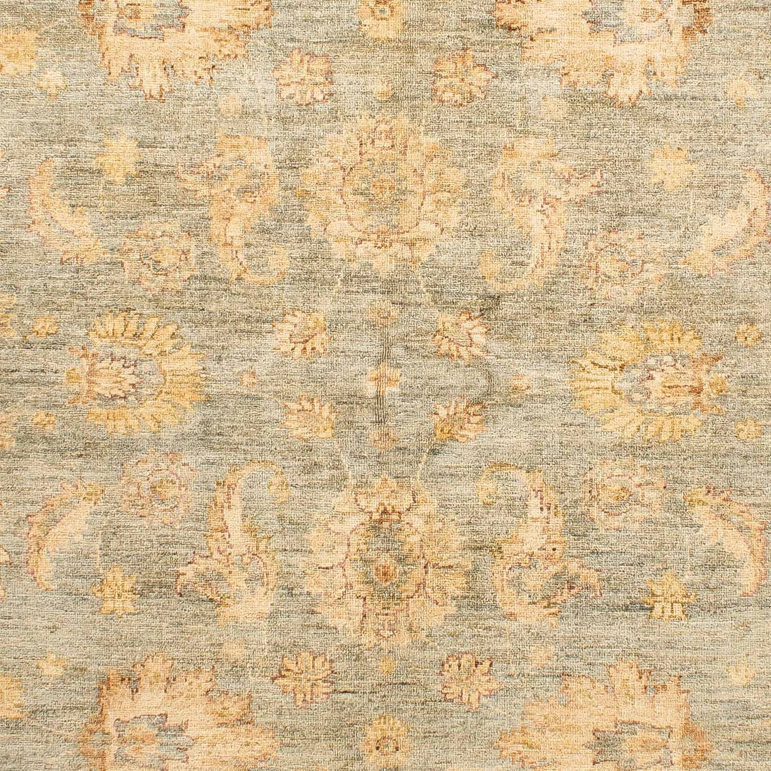 Ziegler Teppich 234 x 173 cm
