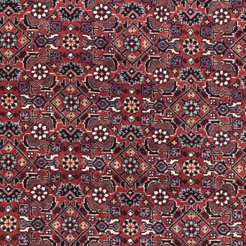 Perserteppich - Bidjar - Royal 193 x 176 cm
