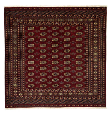 Afghan Teppich - Buchara 205 x 205 cm
