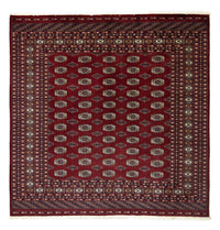 Buchara Teppich 203x199cm - Orientteppich – product image