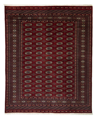 Afghan Teppich - Buchara 244 x 198 cm