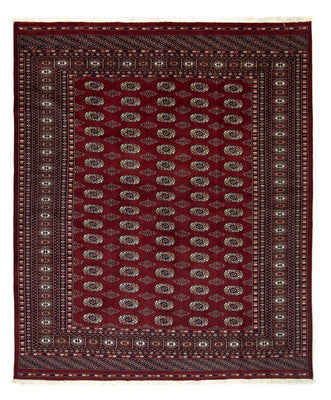 Afghan Teppich - Buchara 240 x 200 cm