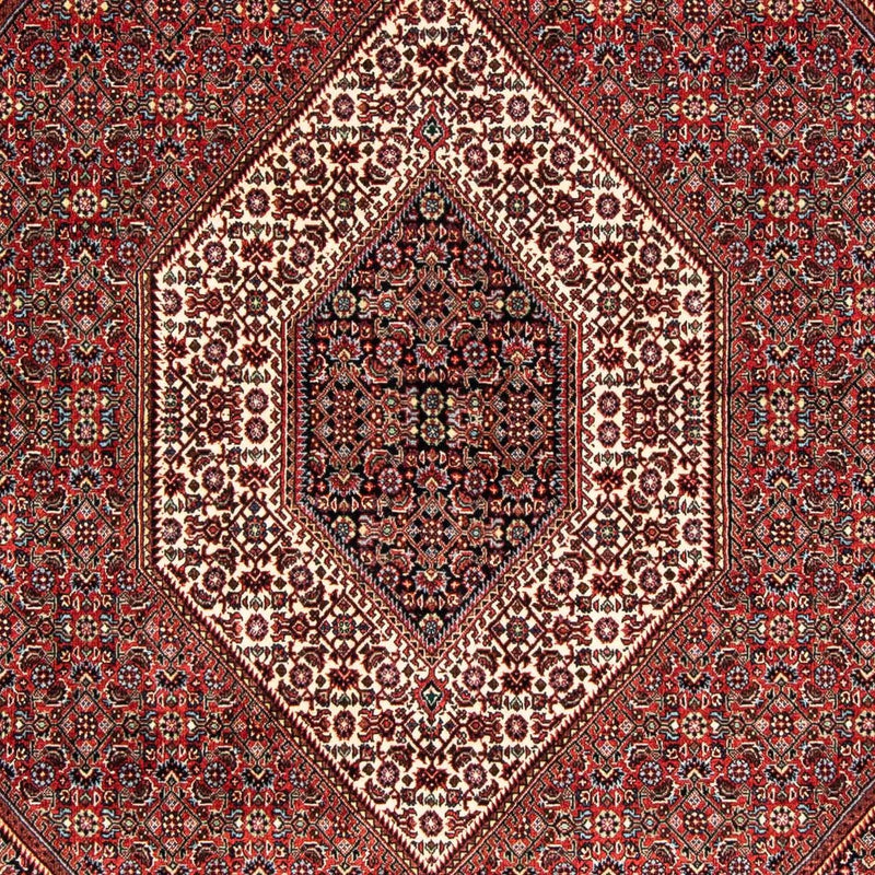 Perserteppich - Bidjar 239 x 166 cm