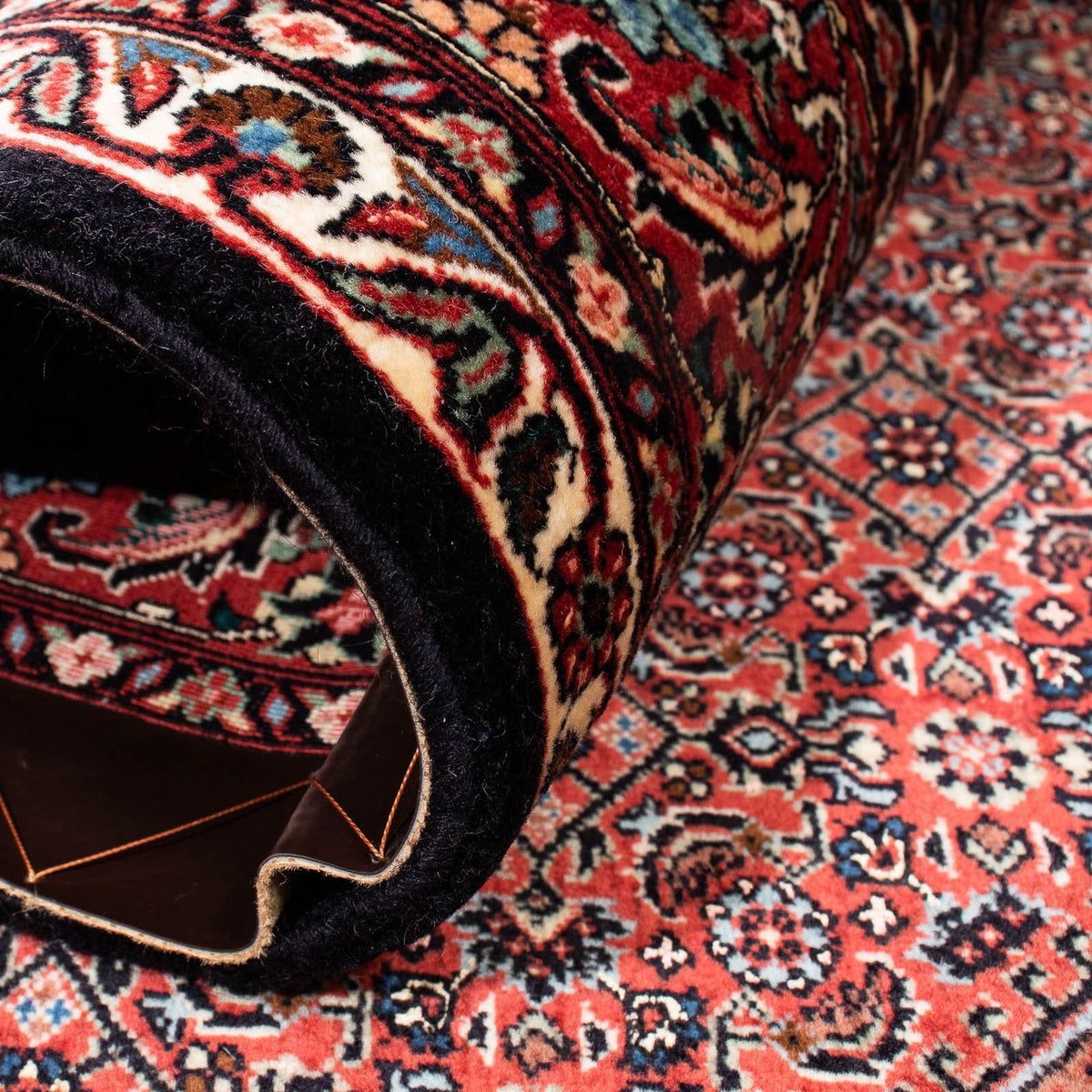 Perserteppich - Bidjar 239 x 166 cm