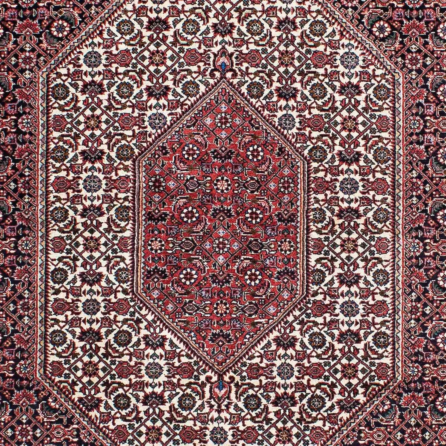 Perserteppich - Bidjar - Royal 211 x 132 cm