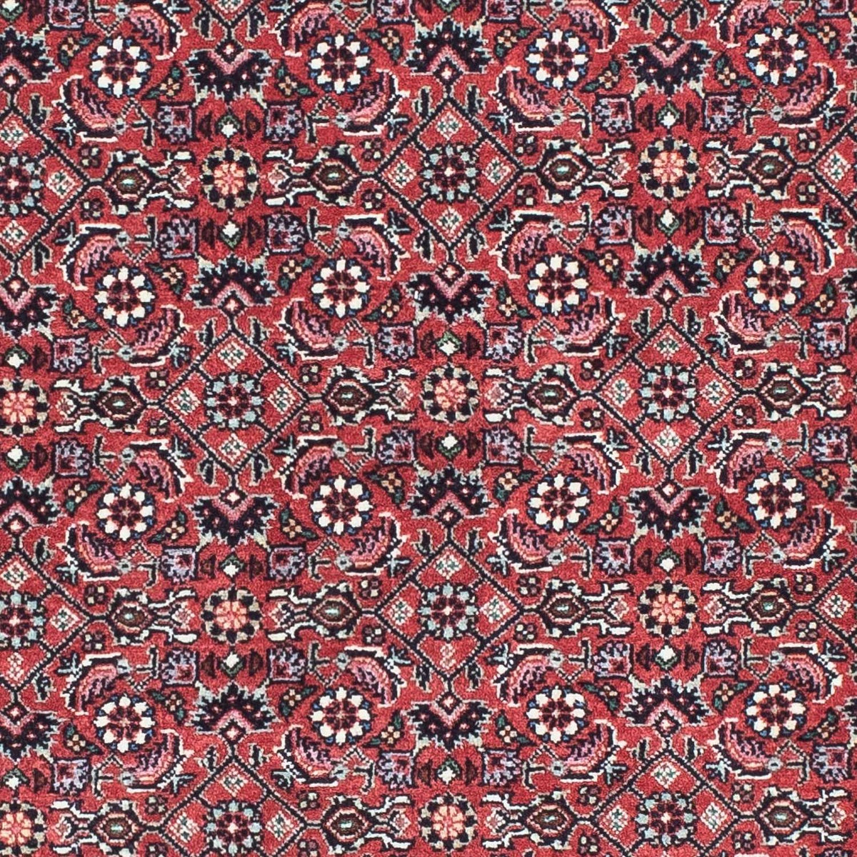 Perserteppich - Bidjar - Royal 193 x 76 cm - rot