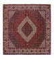 Bidjar Teppich 300x300cm - Perserteppich