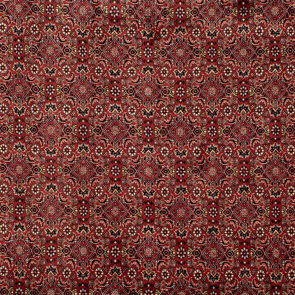 Perserteppich - Bidjar 302 x 203 cm