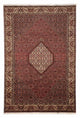 Bidjar Teppich 295x204cm - Perserteppich