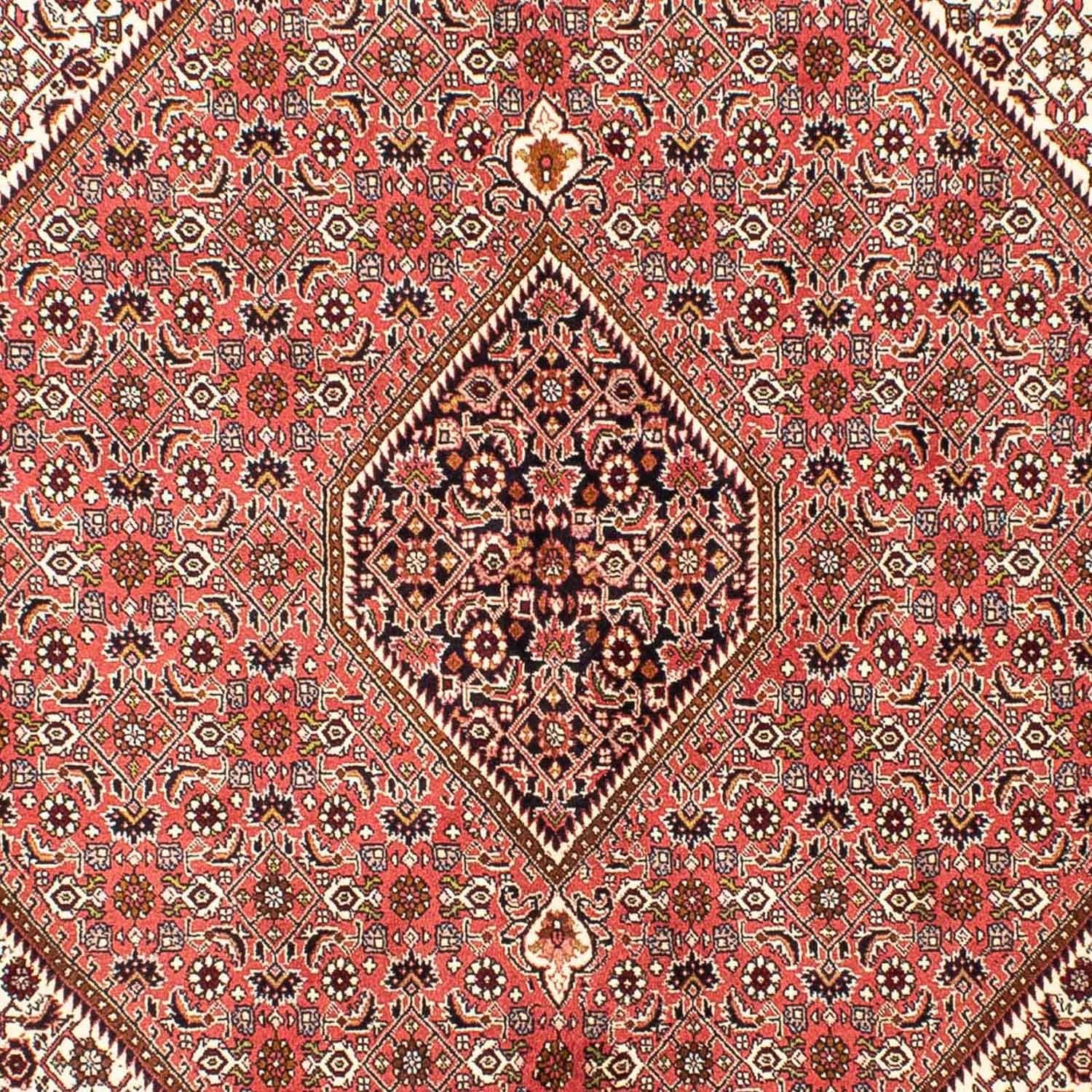 Perserteppich - Bidjar 237 x 176 cm