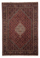 Bidjar Teppich 302x198cm - Perserteppich