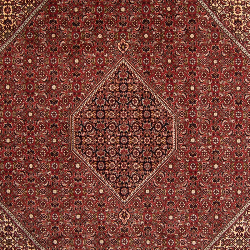 Perserteppich - Bidjar 345 x 247 cm