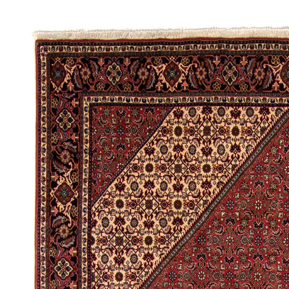 Bidjar Teppich 248x343cm - Perserteppich