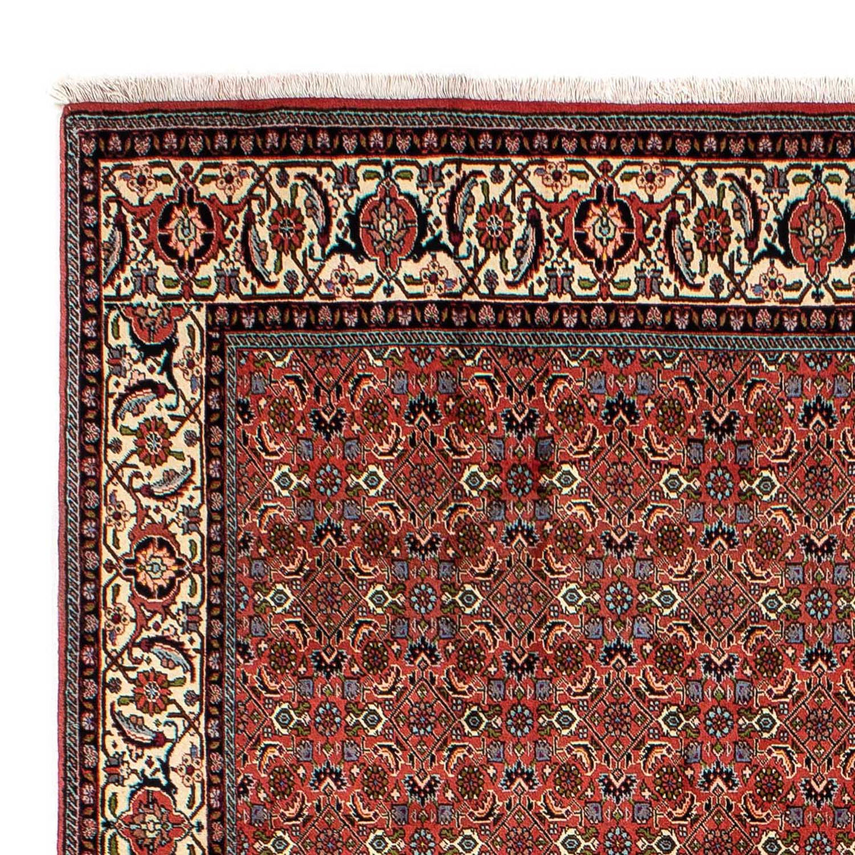 Bidjar Teppich 200x290cm - Perserteppich