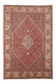 Bidjar Teppich 258x174cm - Perserteppich