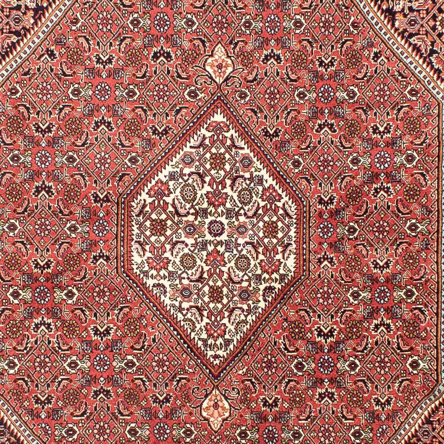 Perserteppich - Bidjar 258 x 174 cm