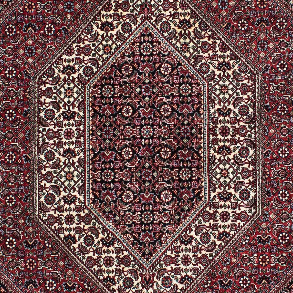 Perserteppich - Bidjar - Royal 195 x 136 cm - hellrot