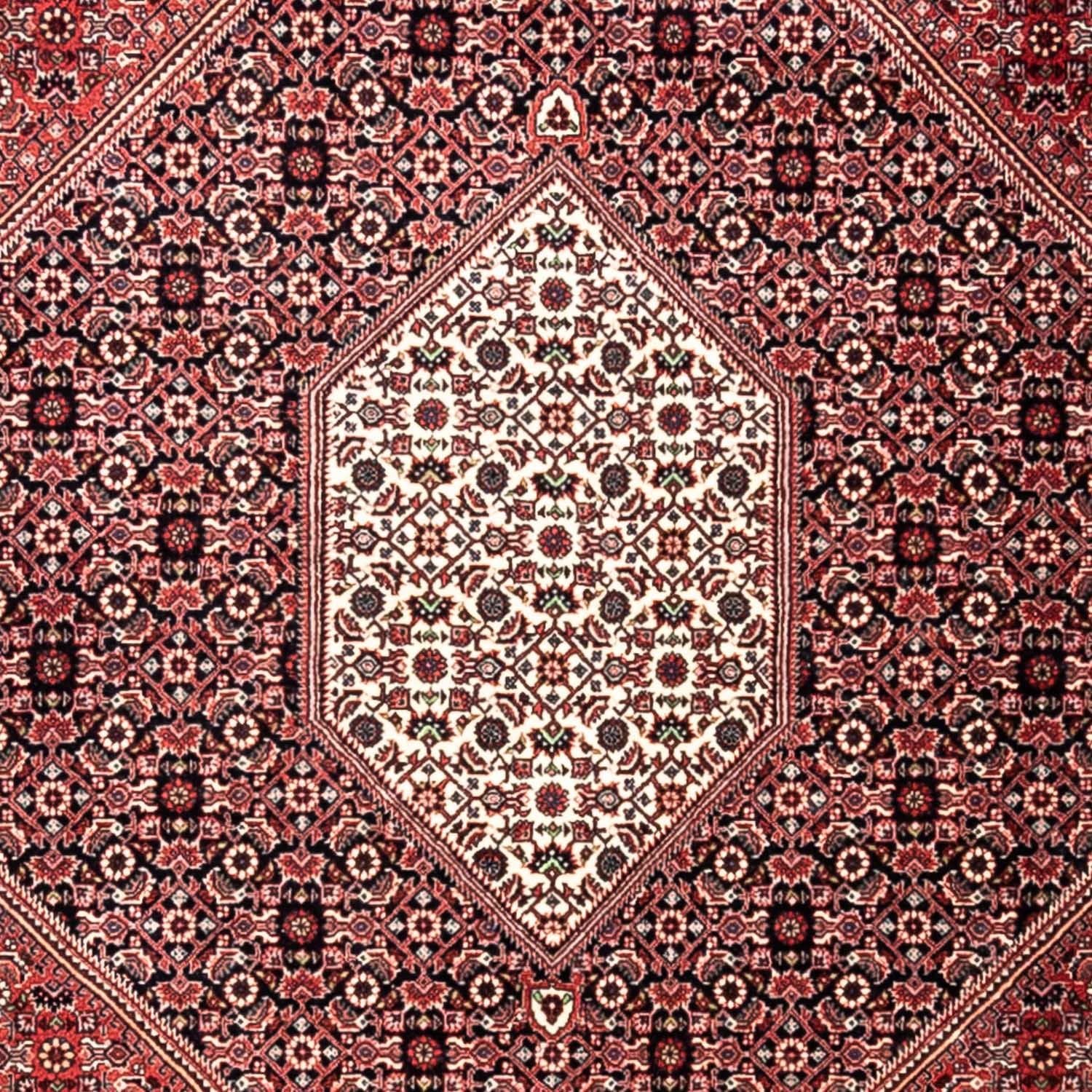 Perserteppich - Bidjar - Royal 346 x 252 cm