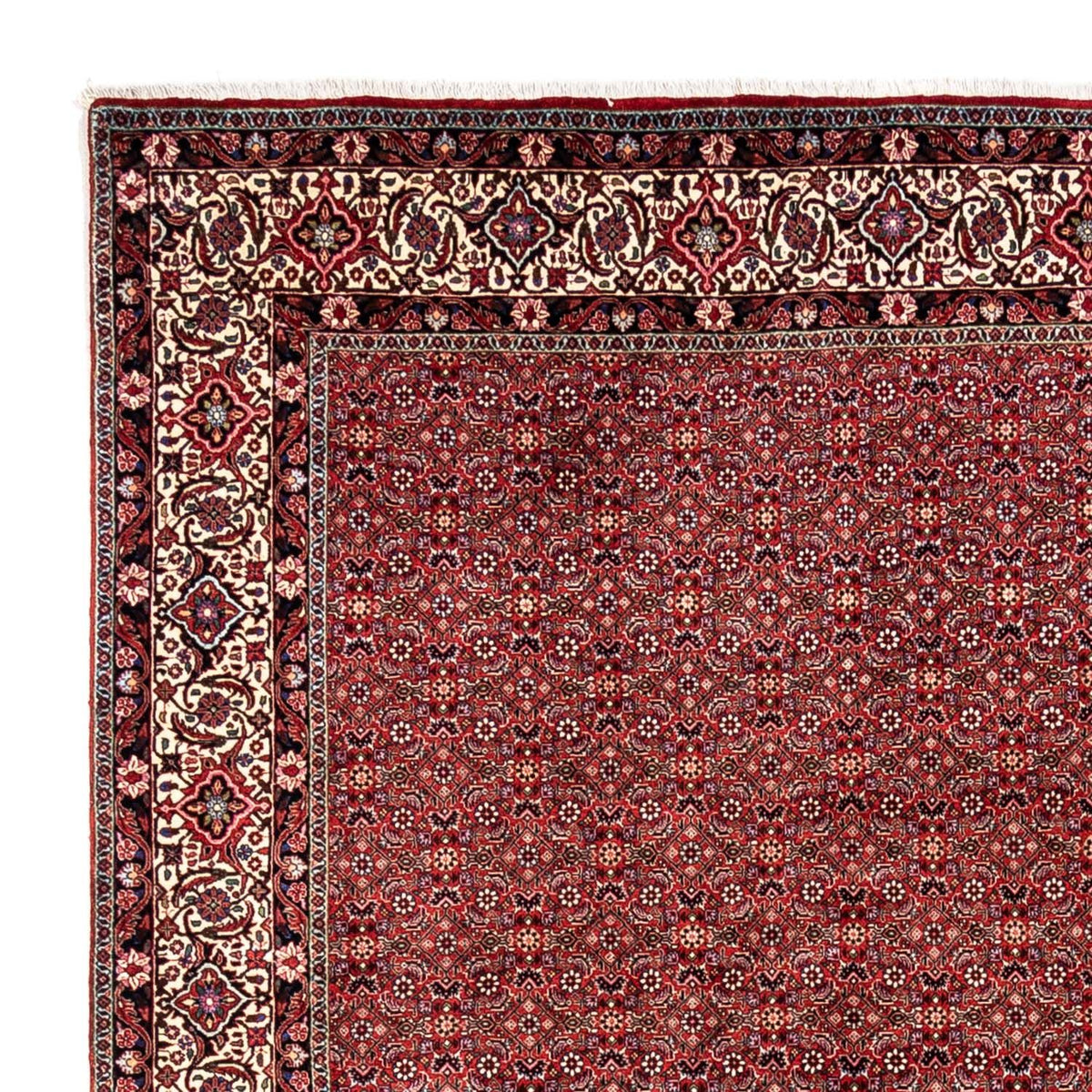 Perserteppich - Bidjar - Royal 340 x 248 cm - rot