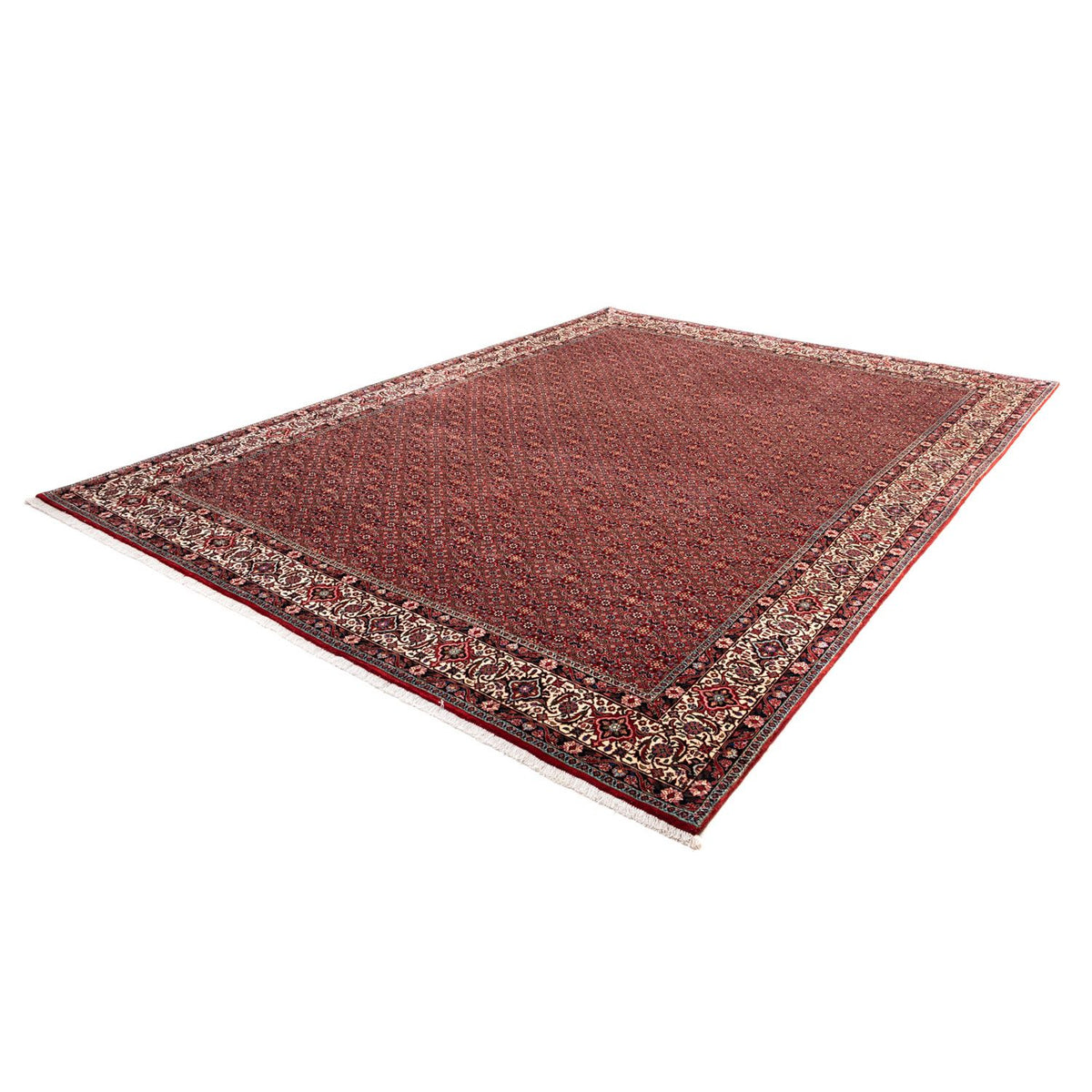 Perserteppich - Bidjar - Royal 340 x 248 cm - rot