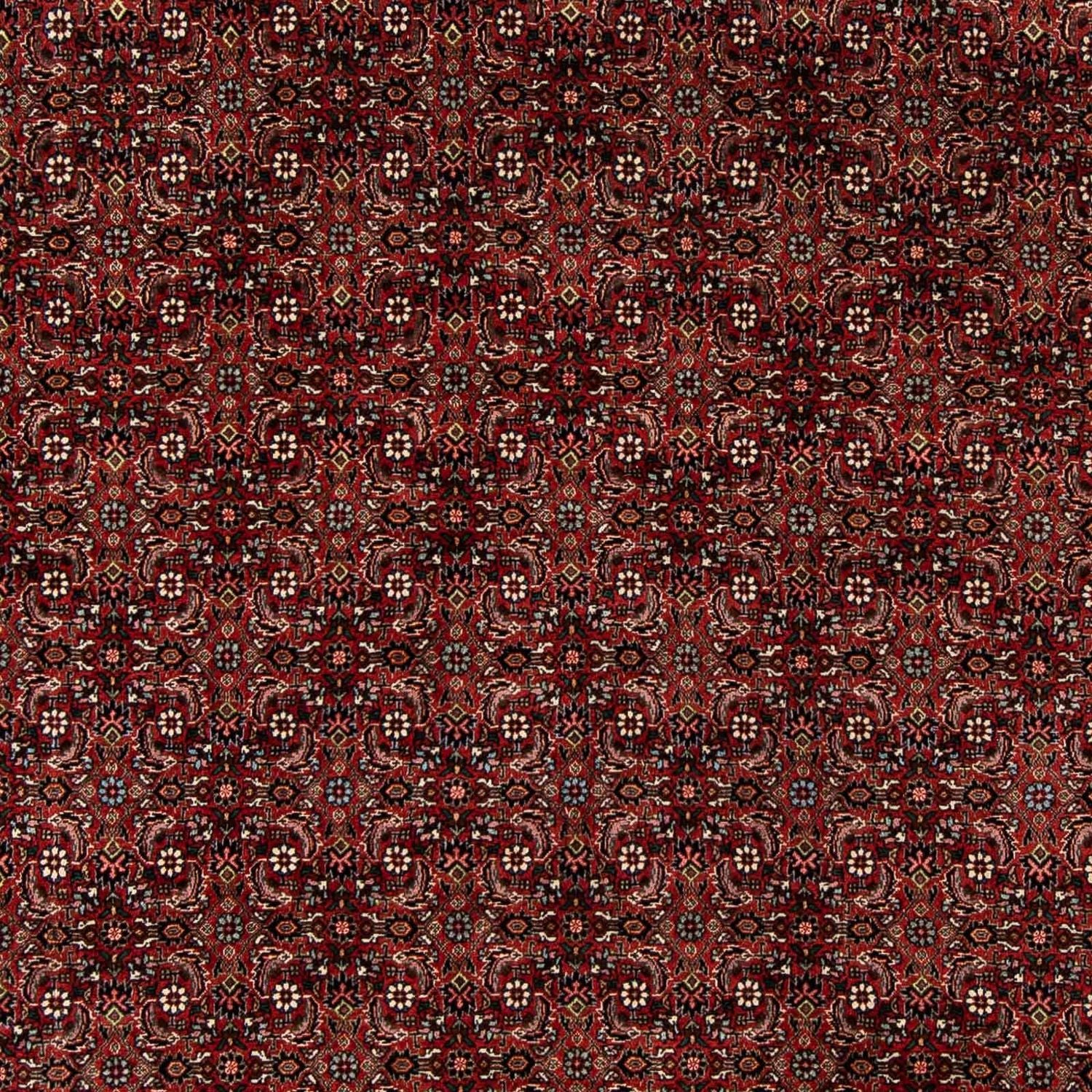 Perserteppich - Bidjar 242 x 202 cm Wohnzimmer Teppich
