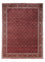 Perserteppich - Bidjar - Royal 337 x 252 cm - rot
