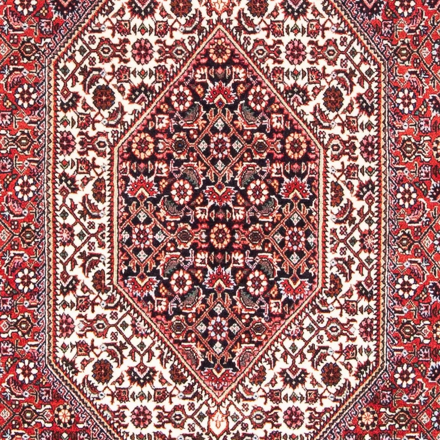 Perserteppich - Bidjar - Royal 189 x 109 cm