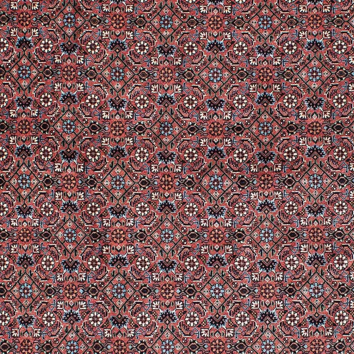 Perserteppich - Bidjar - Royal 210 x 132 cm