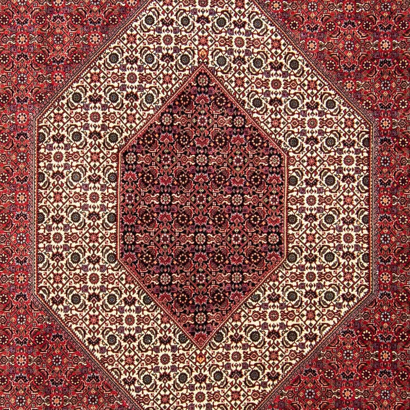 Perserteppich - Bidjar 304 x 255 cm