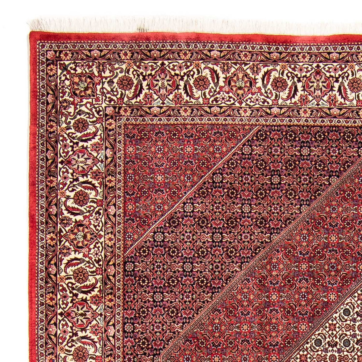Bidjar Teppich 255x304cm - Perserteppich