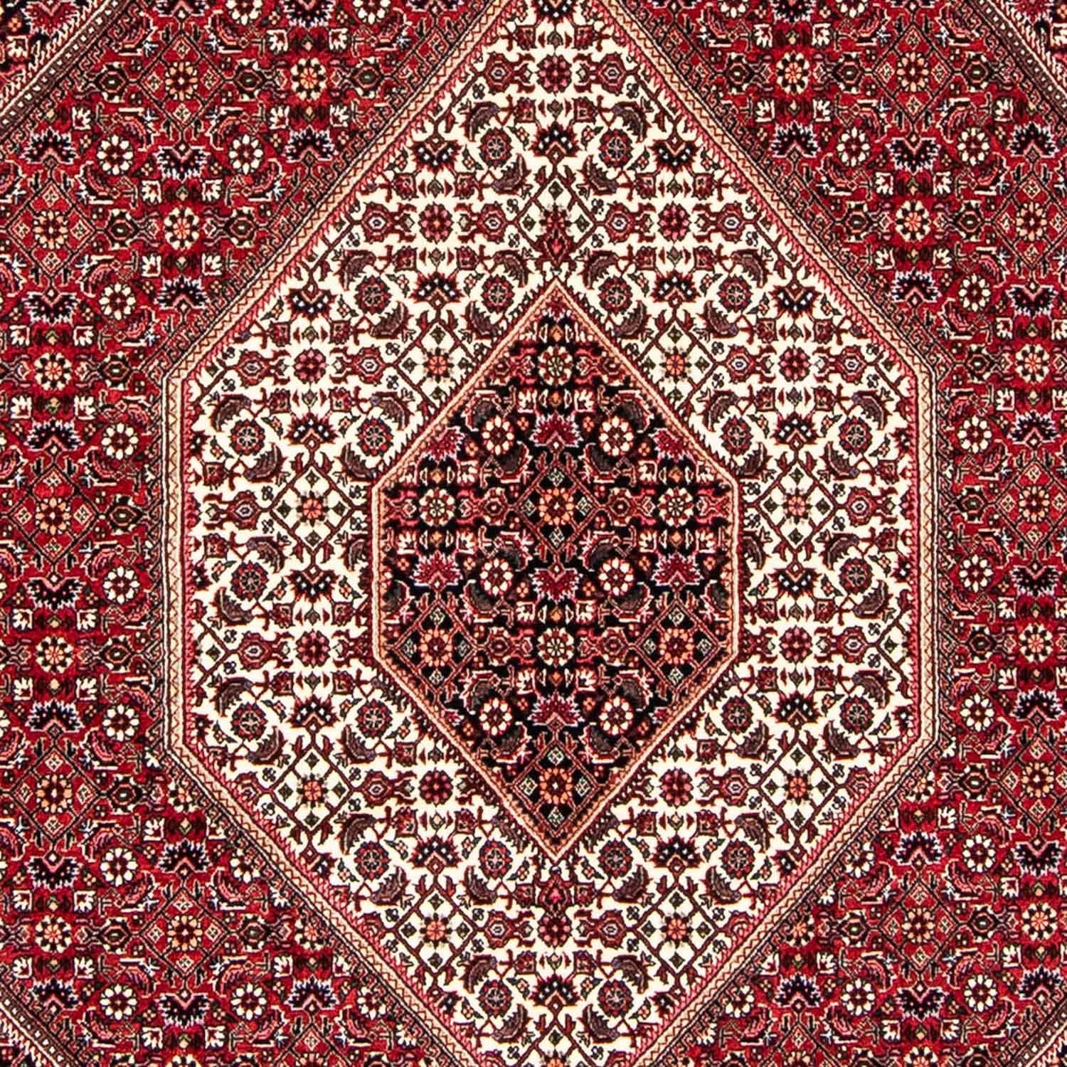 Perserteppich - Bidjar 240 x 168 cm