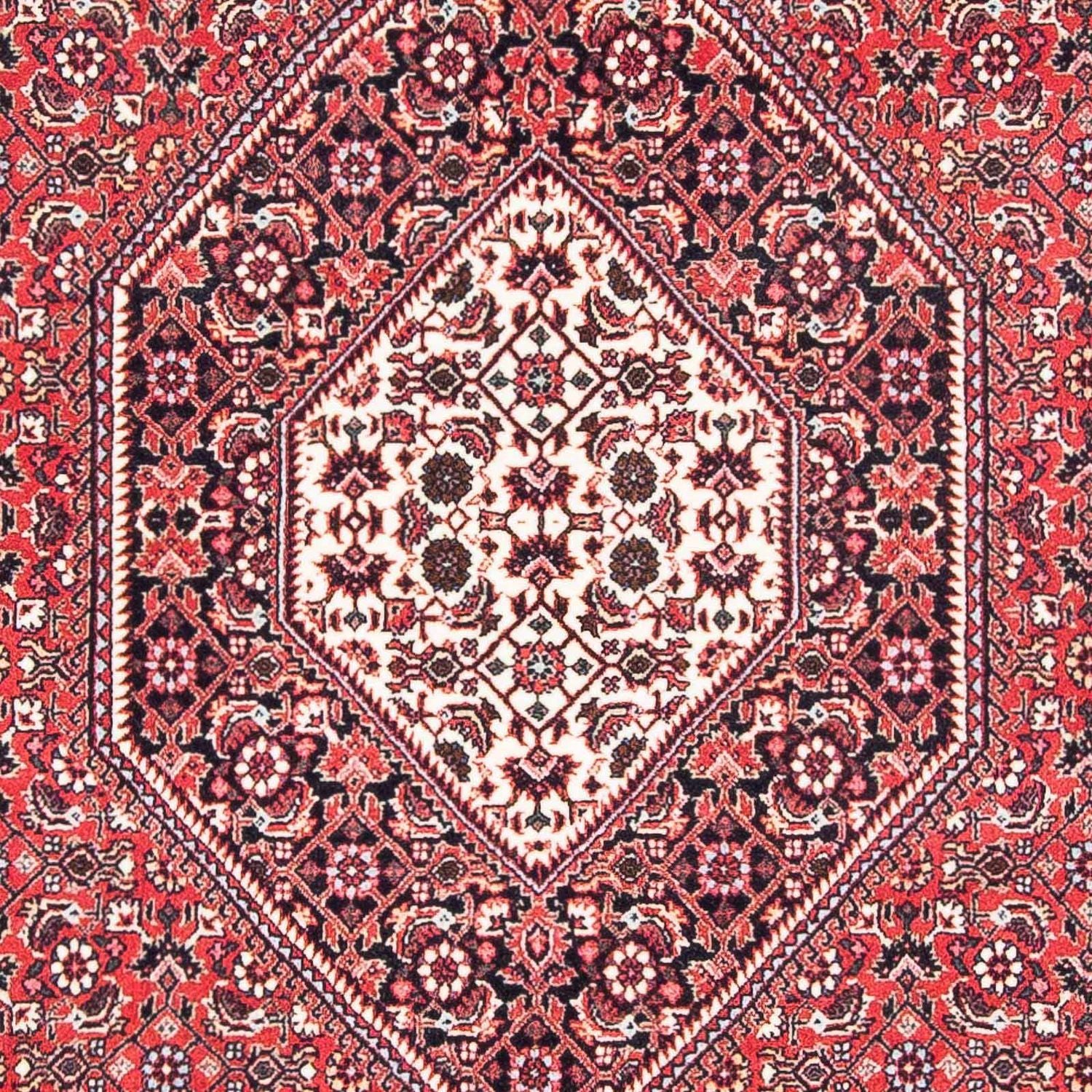 Perserteppich - Bidjar - Royal 185 x 111 cm