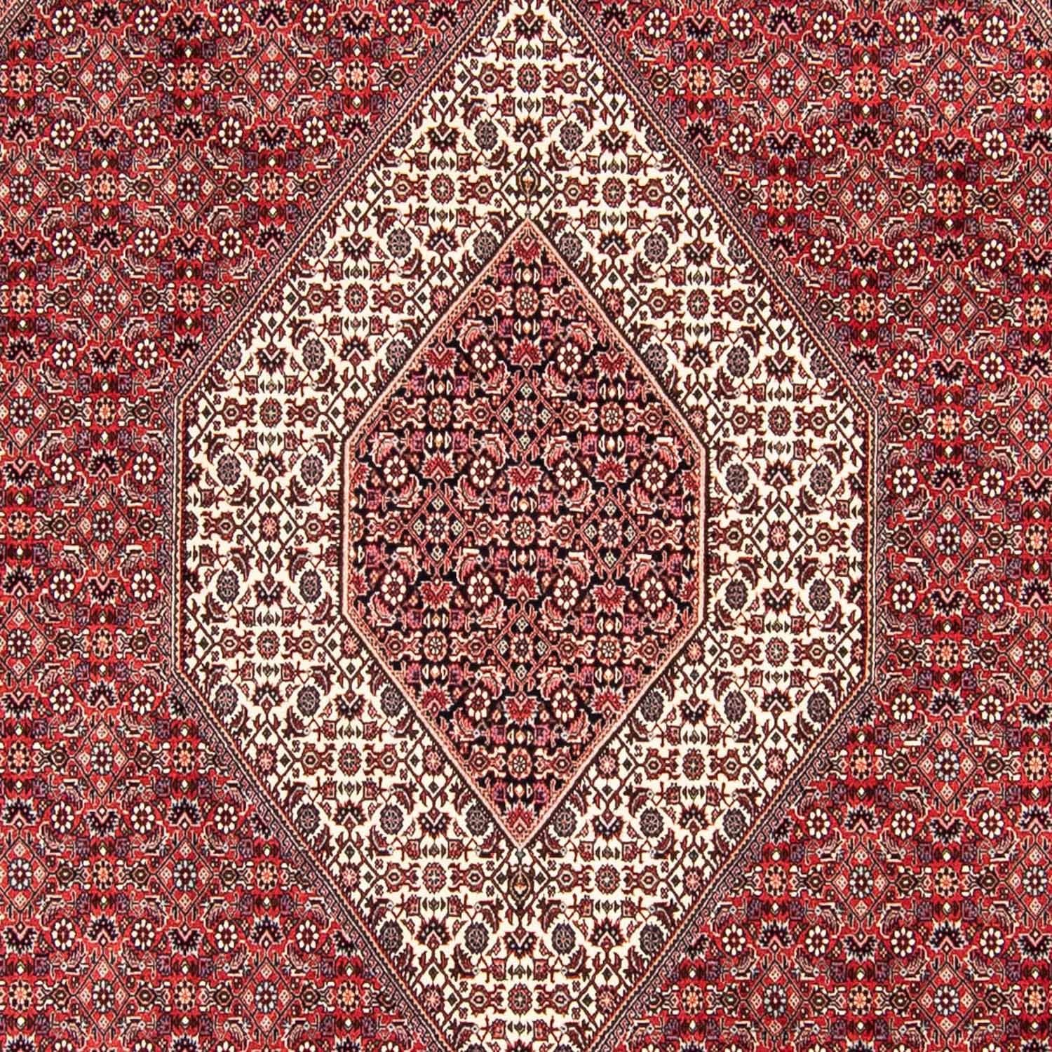 Perserteppich - Bidjar 305 x 253 cm
