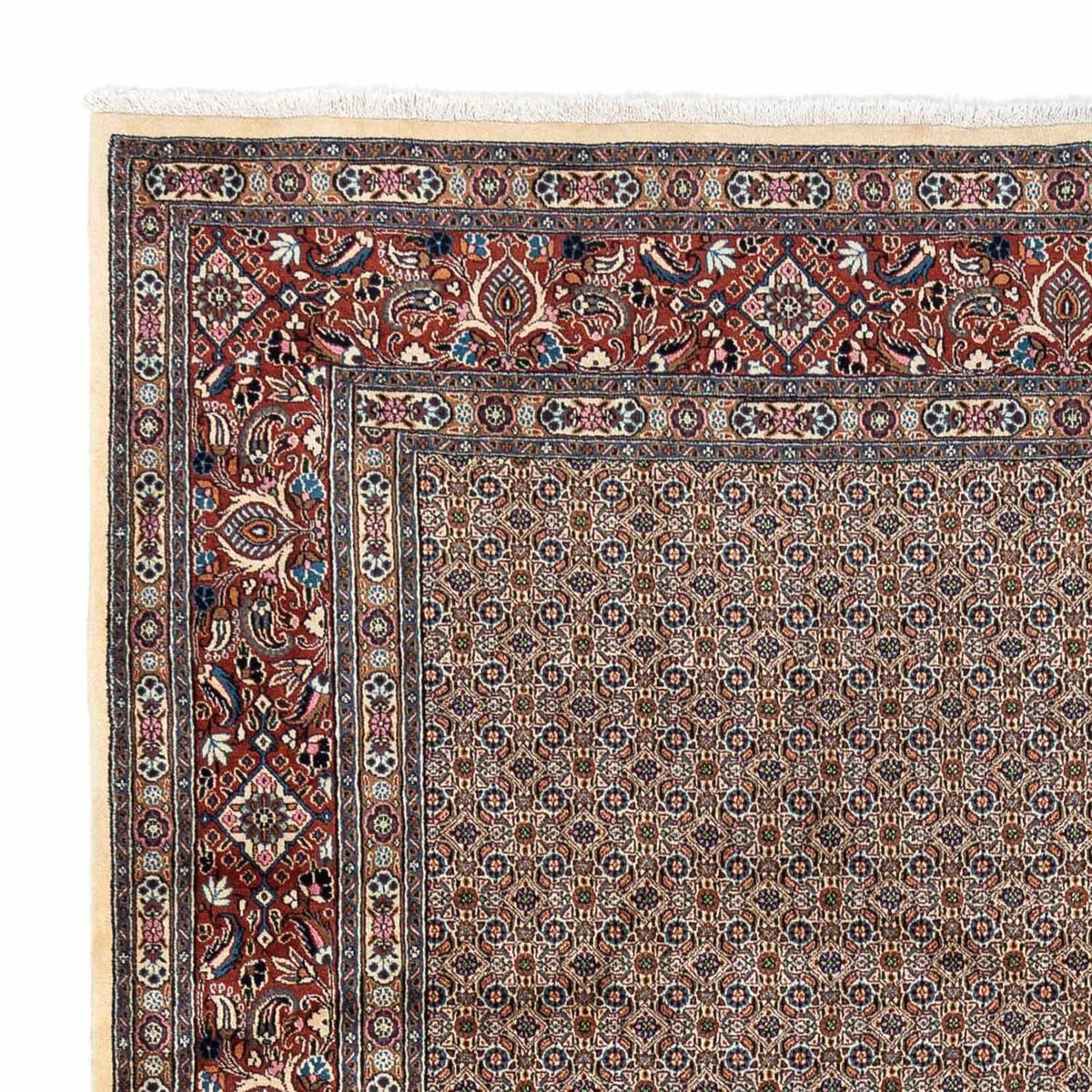 Moud Teppich 250x342cm - Perserteppich