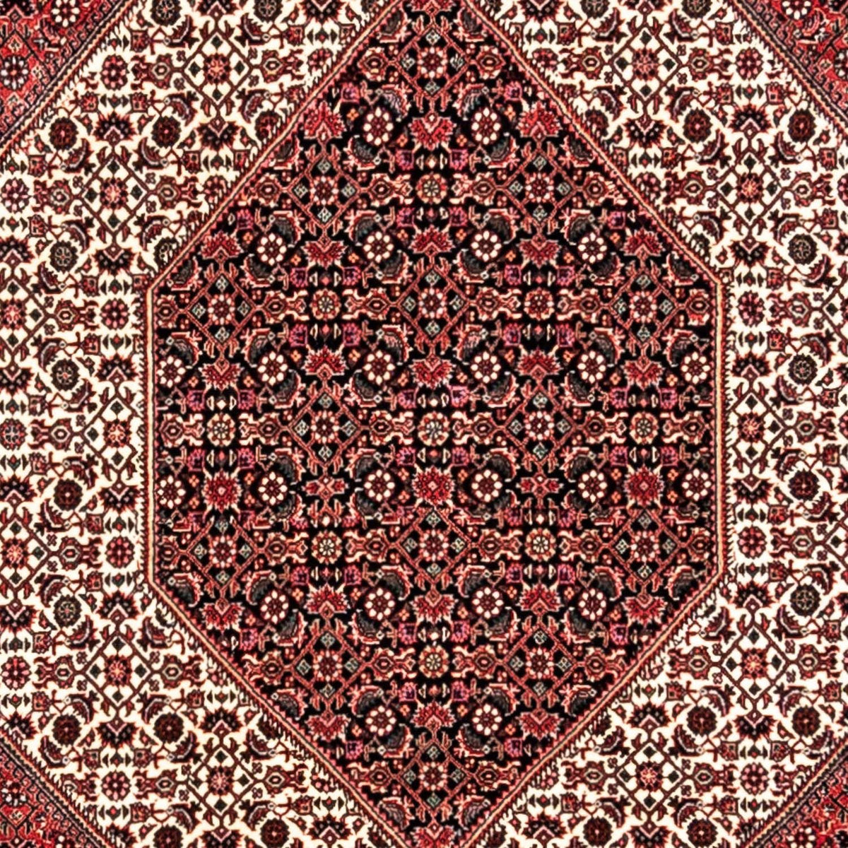 Perserteppich - Bidjar - Royal 350 x 252 cm - rot