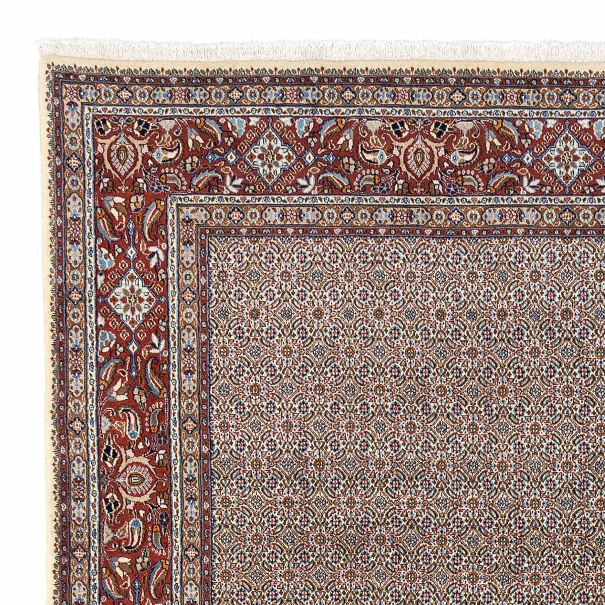 Moud Teppich 248x334cm - Perserteppich