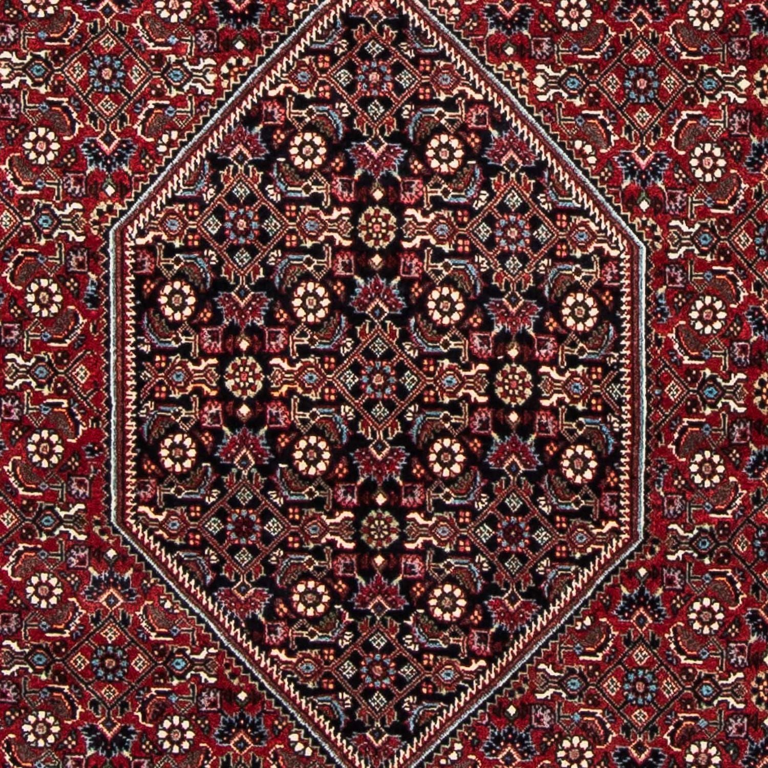 Perserteppich - Bidjar - Royal 177 x 112 cm
