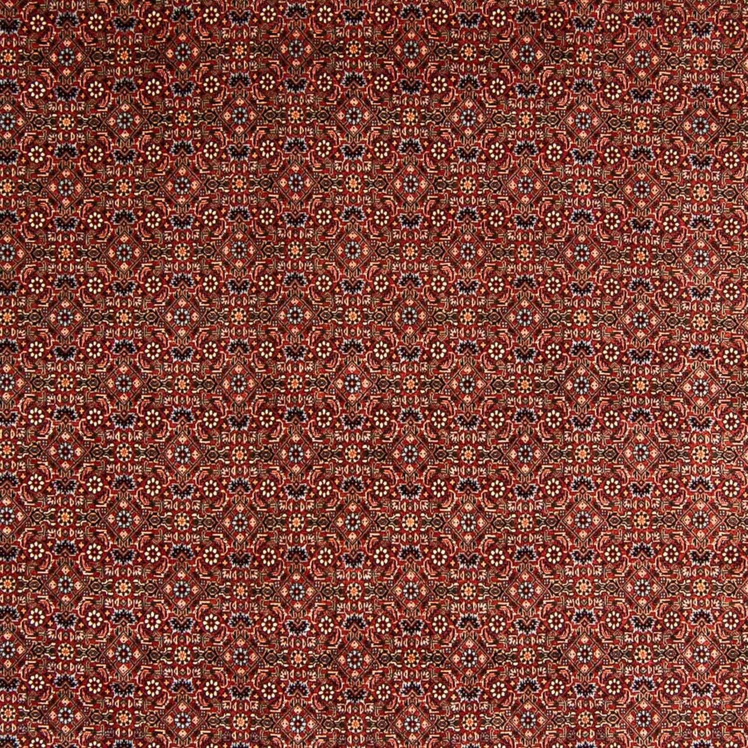 Perserteppich - Bidjar 340 x 254 cm